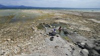 Hamparan batu yang memutih membentang jauh dari garis pantai normal, mengelilingi Semenanjung Sirmione selatan dengan lingkaran cahaya kuning di antara rona hijau air dan pepohonan di pantai.