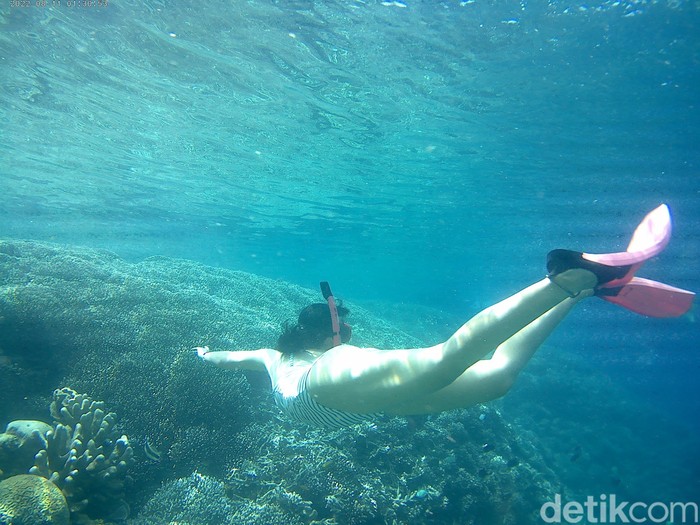 Snorkeling di Taman Nasional Bunaken