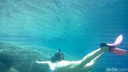Wajib Banget! Snorkeling di Bunaken Surganya Bawah Laut Manado