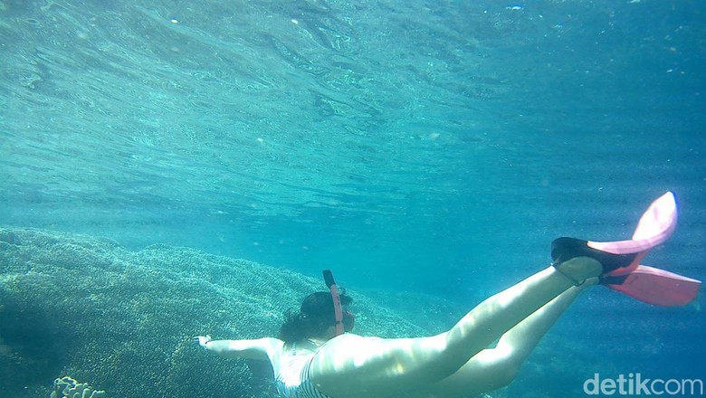Snorkeling di Taman Nasional Bunaken Snorkeling di Taman Nasional Bunaken