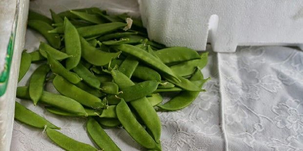 7 Daftar Sayuran Termahal di Dunia, Nomor 1 Capai Rp 100 Juta/Kg