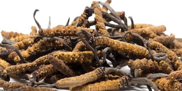 7 Daftar Sayuran Termahal di Dunia, Nomor 1 Capai Rp 100 Juta/Kg