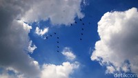 Manuver pesawat tempur tersebut diikuti oleh 14 pesawat TNI AU.