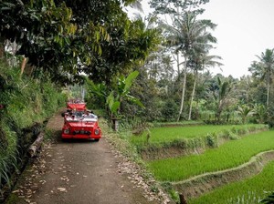 Liburan Akhir Tahun Bukan yang Biasa? Coba ke Desa Wisata