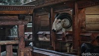 Karena saking mahalnya domba ini, kandang domba Garut yang kami kunjungi memiliki ornamen ukiran bak didatangkan dari Jepara dan ada anjing penjaga yang siap menyalak bila ada orang baru mendekat.