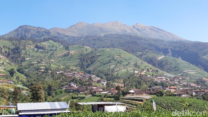 Gunung Merbabu.