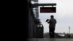 Kenalkan Pac-Man, Burung Elang Penjaga Stasiun Kereta di California