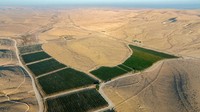 Hamparan ladang anggur di tengah Gurun Negev. Dengan rekayasa teknologi pertanian tersebut, kawasan ini melahirkan lebih dari dua lusin kilang anggur dalam kurun waktu satu dekade terakhir. Tentu dengan diikuti dengan tumbuhnya pariwisata industri anggur.   