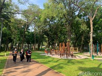 Studi: Melihat Pemandangan Hijau Kota Juga Bisa Bantu Kurangi Stres