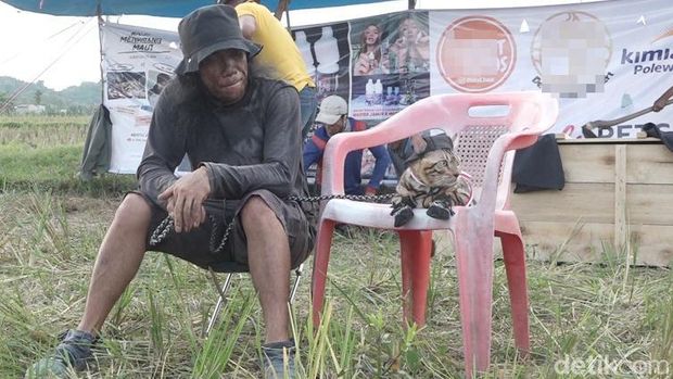 Pria di Polman, Sulbar, kubur diri bersama kucing jelang HUT RI ke-77.