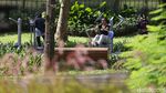 Hore... Tebet Eco Park Kembali Dibuka, Begini Suasananya