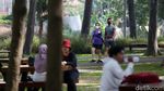 Hore... Tebet Eco Park Kembali Dibuka, Begini Suasananya