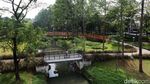 Hore... Tebet Eco Park Kembali Dibuka, Begini Suasananya
