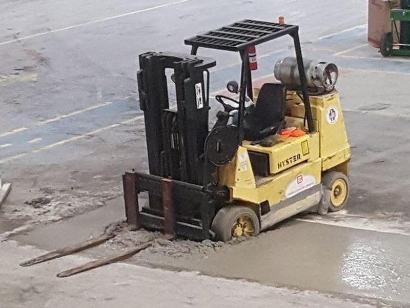 10 Momen Kejadian Apes yang Tak Terduga, Kasihan Tapi Bikin Ngakak