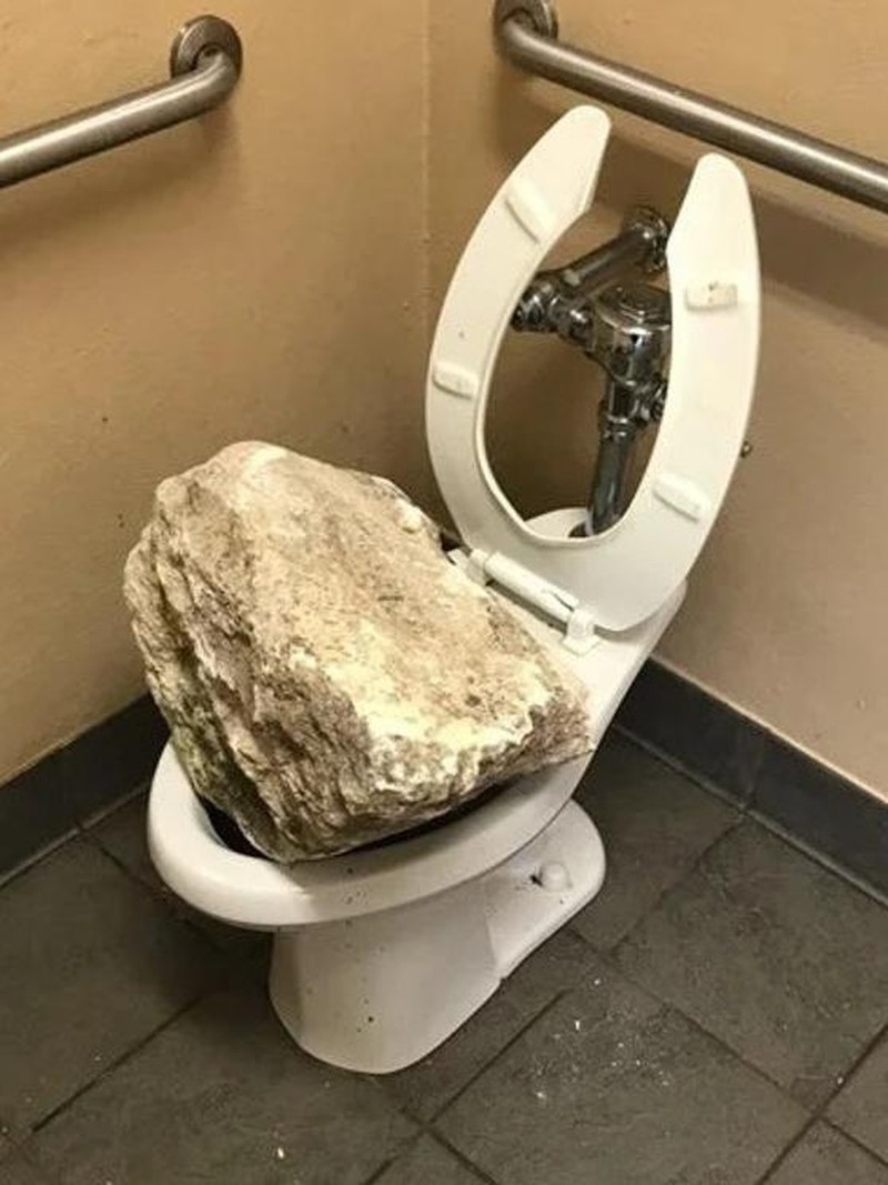 10 Momen Kejadian Apes yang Tak Terduga, Kasihan Tapi Bikin Ngakak