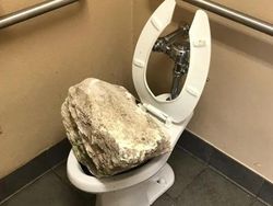 10 Kejadian Apes yang Tak Terduga, Kasihan Tapi Bikin Ngakak