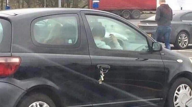 10 Momen Kejadian Apes yang Tak Terduga, Kasihan Tapi Bikin Ngakak