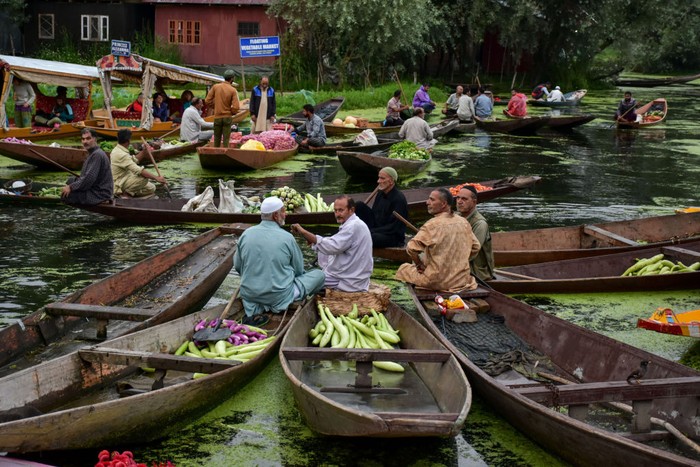 SRINAGAR, KASHMIR, INDIA - 2022/08/02: A Kashmiri man rows a boat ferrying fresh flowers in the depth of Dal lake. Dal Lake is famed for its floating vegetable market which supplies varieties of vegetables all year to many towns across the Kashmir valley. This floating vegetable market comprises of many floating gardens as well as local varieties of organic vegetables. It is one of the very famous floating markets in the world. The vegetable market opens at 4o clock in the morning even before the sun rises and closes within the next two hours. (Photo by Saqib Majeed/SOPA Images/LightRocket via Getty Images)