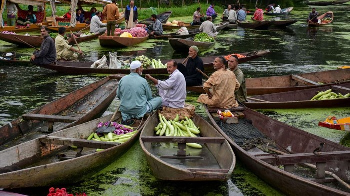 SRINAGAR, KASHMIR, INDIA - 2022/08/02: A Kashmiri man rows a boat ferrying fresh flowers in the depth of Dal lake. Dal Lake is famed for its floating vegetable market which supplies varieties of vegetables all year to many towns across the Kashmir valley. This floating vegetable market comprises of many floating gardens as well as local varieties of organic vegetables. It is one of the very famous floating markets in the world. The vegetable market opens at 4o clock in the morning even before the sun rises and closes within the next two hours. (Photo by Saqib Majeed/SOPA Images/LightRocket via Getty Images)