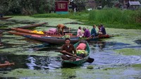 Pedagang membawa barang dagangannya menggunakan perahu sampan. Pasar sayuran terapung ini terdiri dari banyak taman terapung serta berbagai jenis sayuran organik lokal.