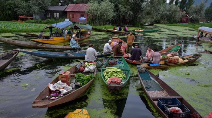 SRINAGAR, KASHMIR, INDIA - 2022/08/02: A Kashmiri man rows a boat ferrying fresh flowers in the depth of Dal lake. Dal Lake is famed for its floating vegetable market which supplies varieties of vegetables all year to many towns across the Kashmir valley. This floating vegetable market comprises of many floating gardens as well as local varieties of organic vegetables. It is one of the very famous floating markets in the world. The vegetable market opens at 4o clock in the morning even before the sun rises and closes within the next two hours. (Photo by Saqib Majeed/SOPA Images/LightRocket via Getty Images)