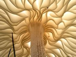 Foto-foto yang Dipotret dari Sudut Tak Biasa, Hasilnya Mencengangkan