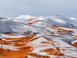 Foto-foto yang Dipotret dari Sudut Tak Biasa, Hasilnya Mencengangkan