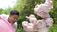 Yang bilang masakan gua gak enak, gua lempar pake ayam! tulis Bobon Santoso di keterangan foto. Ia memang mengklaim dirinya sebagai chef terbaik di dunia.