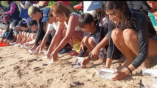 Sejumlah wisatawan lokal dan asing berbaur ikut memeriahkan HUT Kemerdekaan RI ke-77 dengan melepas tukik di Pantai Kuta, Selasa (16/8/2022)