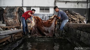 Kulit Garut Terbaik No.3 Dunia