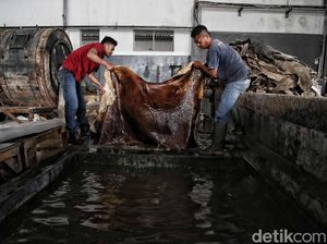 Kulit Garut Terbaik No.3 di Dunia, Tapi Kok Gitu-gitu Aja?