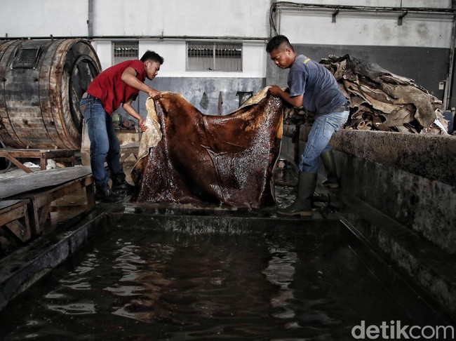 Kulit Garut Terbaik No.3 Dunia