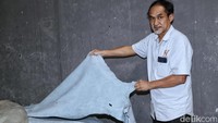 Pada tahap ketujuh, kulit akan mengalami proses ageing wet blue. Ini menjadikan kulit semakin matang dari proses sebelumnya atau kulit sudah setengah jadi.
