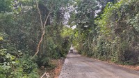 Jalan menuju Pantai Kondang Merak/Foto: Istimewa (dok. Sahabat Alam Indonesia)