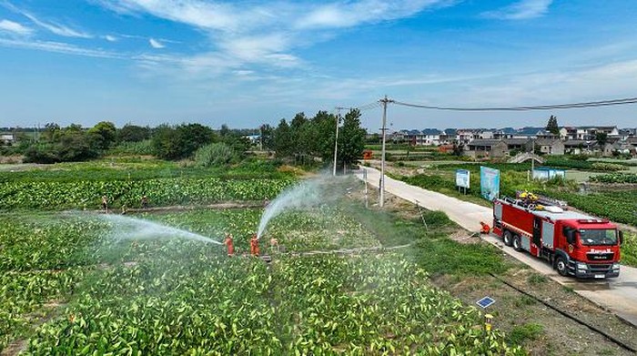Pemadam Kebakaran di China Bantu Siram Kebun Warga Saat Cuaca Panas TAIZHOU, CHINA - AUGUST 15: Firefighters help villagers water taro (aka colocasia esculenta) amid high temperature on August 15, 2022 in Taizhou, Jiangsu Province of China. (Photo by Tang Dehong/VCG via Getty Images)