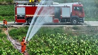 Suhu panas yang tinggi membuat perkebunan warga kekurangan pasokan air. Suhu di Taizhou sekitar 35 derajat Celcius pada siang hari.