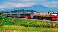 Gerbong kereta bergambar khusus melintasi persawahan dengan latar pegunungan. 