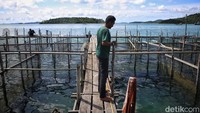 Arpianto (40) mengecek keramba ikan miliknya di Desa Batu Belah, Kabupaten Kepulauan Anambas, Kepulauan Riau, Selasa (2/8/2022).  