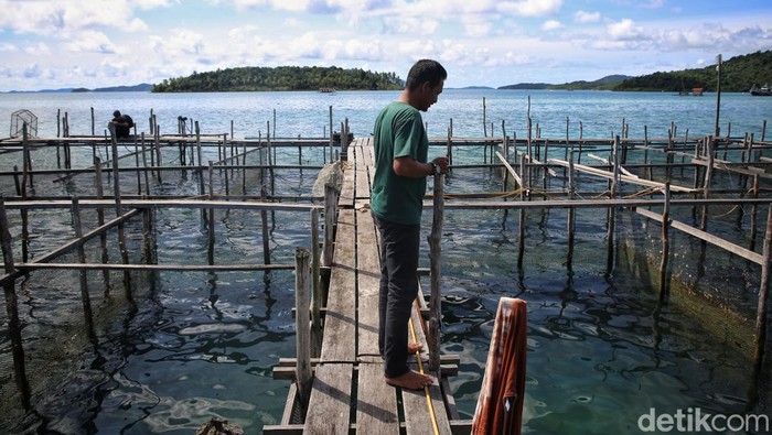 Arpianto (40) melihat ke arah keramba ikan miliknya di Desa Batu Belah, Kabupaten Kepulauan Anambas, Kepulauan Riau, Selasa (2/8/2022).