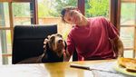 Fans Bakal Kangen Banget Konten Media Sosial Tom Holland!