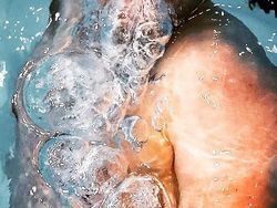 Karya Spektakuler Finalis Foto Olahraga yang Bikin Terkesima Tak Berkedip