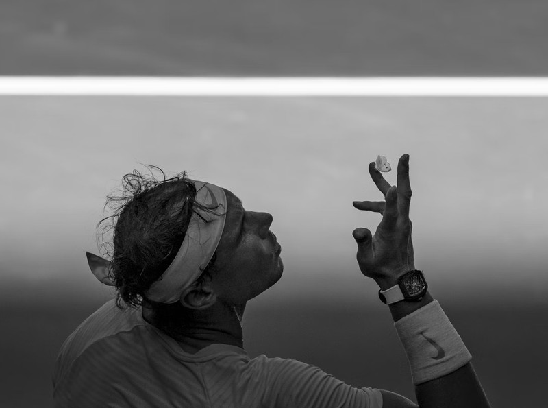 World Sports Photography Awards 2022