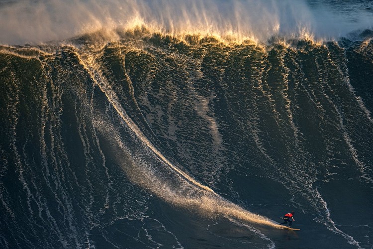 World Sports Photography Awards 2022