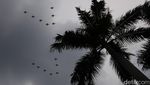 Aksi Manuver Jet Tempur F-16 Bentuk Formasi 77 di Langit Jakarta