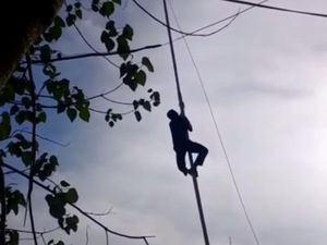 Viral Satpam Panjat Tiang Bendera saat Upacara HUT RI di Lombok
