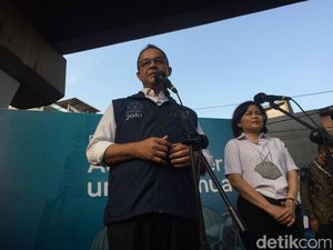 Anies Unggah Kisah Kucing yang Tergusur Kini Diabadikan Jadi Patung