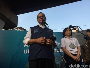 Anies Unggah Kisah Kucing yang Tergusur Kini Diabadikan Jadi Patung