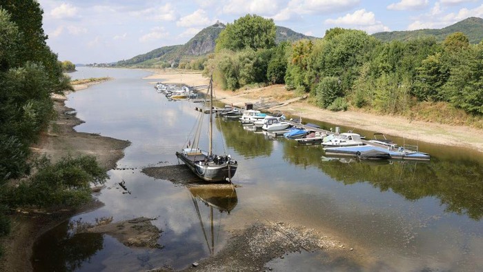 Gelombang Panas Hantam Jerman BAD HONNEF, GERMANY - AUGUST 16: A boat is left aground in the harbour of Bad Honnef along the river Rhine on August 16, 2022 in Bad Honnef, Germany. The ongoing hot weather and lack of rain have caused water levels on the Rhine to fall, which is complicating shipping on several of the country's major rivers. Cargo ships are currently unable to travel with full loads, driving up shipping prices several fold. The Rhine is Germany's busiest river for cargo due to the many factories and industrial facilities in the region. Germany is facing a persistently hot and dry summer. (Photo by Andreas Rentz/Getty Images)