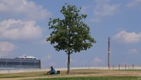 Seorang pria duduk di bawah naungan pohon tunggal pada hari yang panas di taman di antara rumput kering pada Selasa (16/8/2022) di Berlin, Jerman. (Sean Gallup/Getty Images)