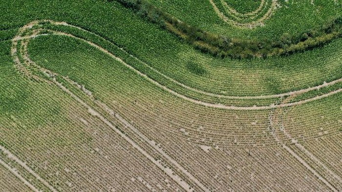 Gelombang Panas Hantam Jerman ESSENBACH, GERMANY - AUGUST 14: An aerial view shows dry agricultural fields near the Isar nuclear power plant on August 14, 2022 in Essenbach, Germany. (Photo by Alexandra Beier/Getty Images)